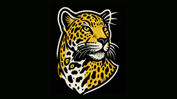 Shivalik Leopards House